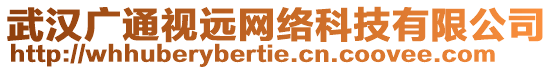 武漢廣通視遠網(wǎng)絡科技有限公司