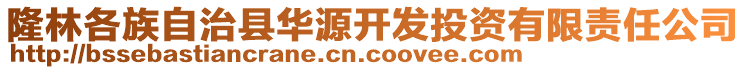 隆林各族自治縣華源開發(fā)投資有限責(zé)任公司