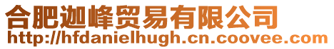 合肥迦峰貿(mào)易有限公司