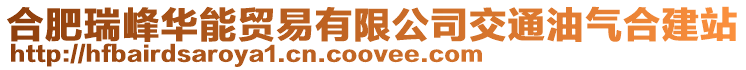 合肥瑞峰華能貿(mào)易有限公司交通油氣合建站