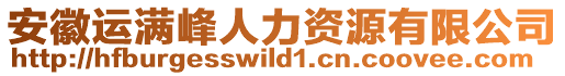 安徽運滿峰人力資源有限公司