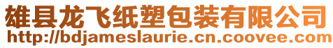 雄縣龍飛紙塑包裝有限公司
