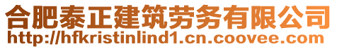 合肥泰正建筑勞務有限公司