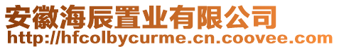 安徽海辰置業有限公司