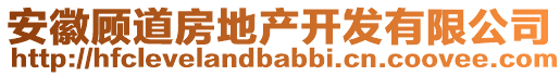 安徽顧道房地產開發(fā)有限公司