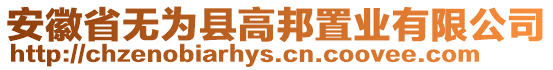 安徽省無為縣高邦置業有限公司