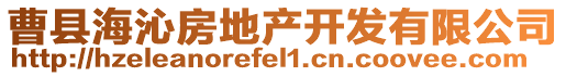 曹縣海沁房地產開發有限公司