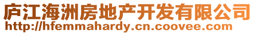 廬江海洲房地產(chǎn)開發(fā)有限公司
