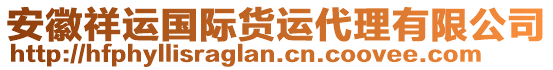 安徽祥運國際貨運代理有限公司