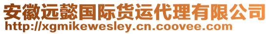 安徽遠(yuǎn)懿國(guó)際貨運(yùn)代理有限公司
