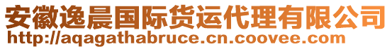 安徽逸晨國(guó)際貨運(yùn)代理有限公司