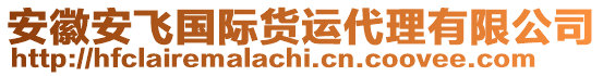 安徽安飛國際貨運代理有限公司