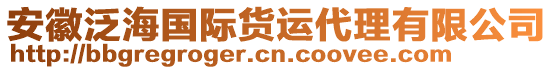 安徽泛海國(guó)際貨運(yùn)代理有限公司