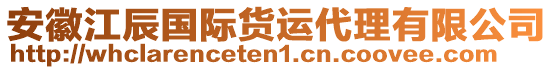 安徽江辰國際貨運(yùn)代理有限公司