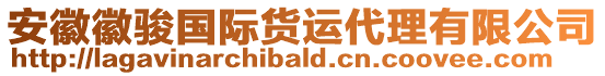 安徽徽駿國(guó)際貨運(yùn)代理有限公司