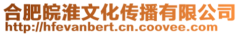 合肥皖淮文化傳播有限公司