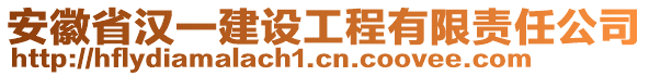 安徽省漢一建設工程有限責任公司