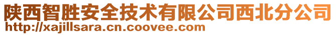 陜西智勝安全技術有限公司西北分公司