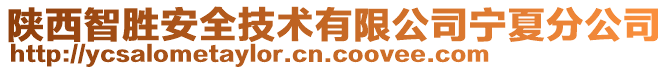 陜西智勝安全技術(shù)有限公司寧夏分公司