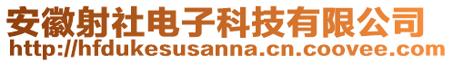 安徽射社電子科技有限公司