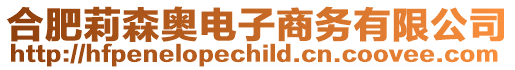 合肥莉森奧電子商務有限公司