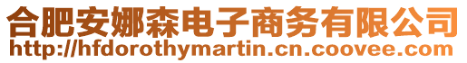 合肥安娜森電子商務(wù)有限公司