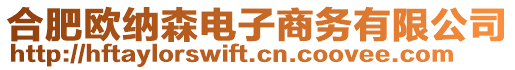 合肥歐納森電子商務有限公司