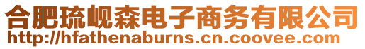 合肥琉峴森電子商務有限公司