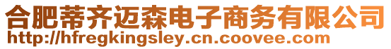 合肥蒂齊邁森電子商務有限公司