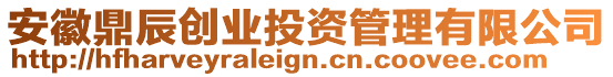 安徽鼎辰創(chuàng)業(yè)投資管理有限公司