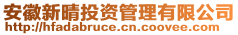 安徽新晴投資管理有限公司