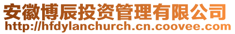 安徽博辰投資管理有限公司