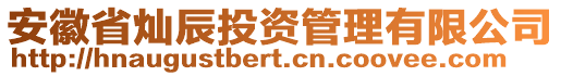 安徽省燦辰投資管理有限公司