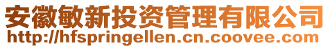 安徽敏新投資管理有限公司