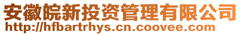 安徽皖新投資管理有限公司