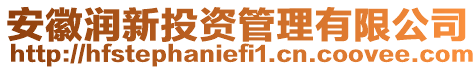 安徽潤新投資管理有限公司