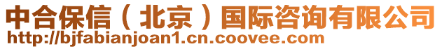 中合保信（北京）國際咨詢有限公司