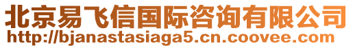 北京易飛信國(guó)際咨詢有限公司