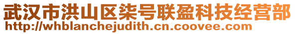 武漢市洪山區(qū)柒號(hào)聯(lián)盈科技經(jīng)營(yíng)部