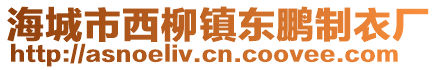 海城市西柳鎮(zhèn)東鵬制衣廠