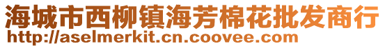 海城市西柳鎮(zhèn)海芳棉花批發(fā)商行