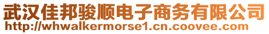 武漢佳邦駿順電子商務(wù)有限公司