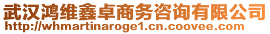 武漢鴻維鑫卓商務(wù)咨詢有限公司