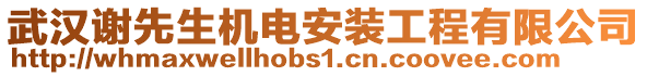 武漢謝先生機(jī)電安裝工程有限公司