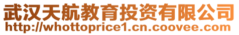 武漢天航教育投資有限公司