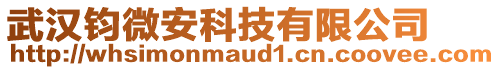 武漢鈞微安科技有限公司