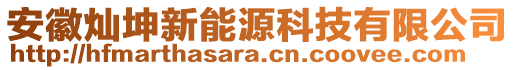 安徽燦坤新能源科技有限公司