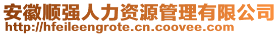 安徽順強(qiáng)人力資源管理有限公司