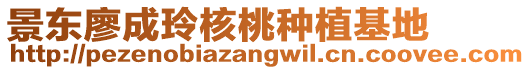 景東廖成玲核桃種植基地