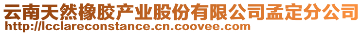 云南天然橡膠產(chǎn)業(yè)股份有限公司孟定分公司